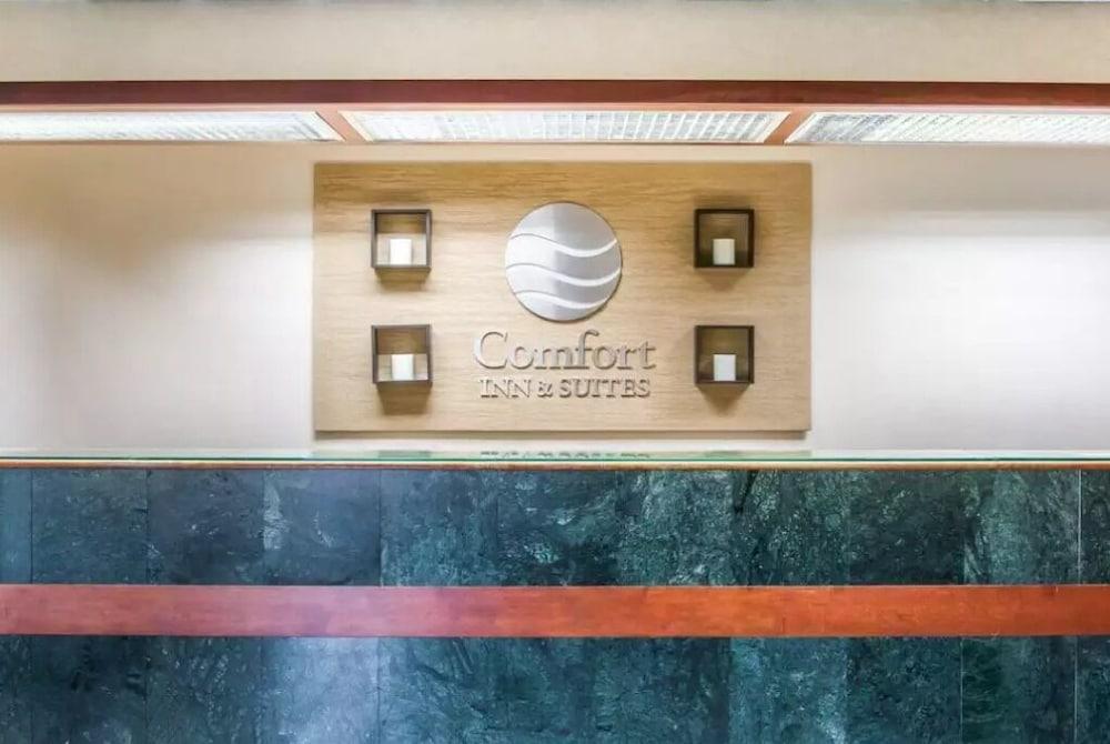 Comfort Inn & Suites Maumee - Toledo I80-90 Екстериор снимка