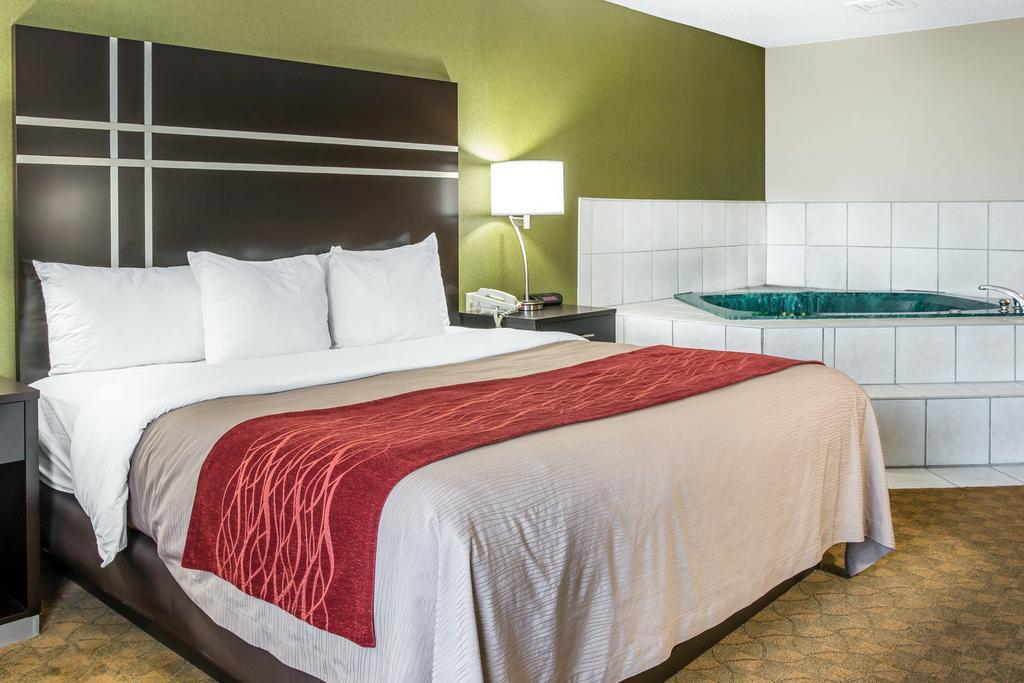 Comfort Inn & Suites Maumee - Toledo I80-90 Екстериор снимка